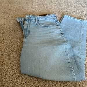 Madewell The Curvy Perfect Vintage Jeans